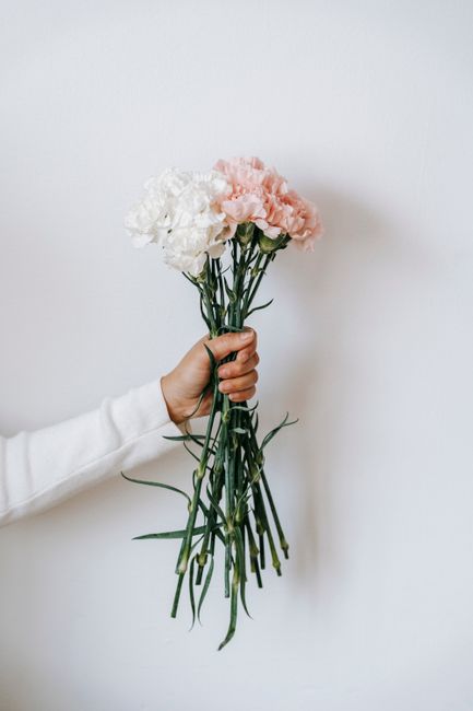 A person wearing a white long-sleeved shirt holds a bouquet of fresh carnations against a plain white background. The bouquet consists of white and pale pink carnations with ruffled petals and green s